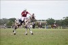 UKPA NC SAT_2684